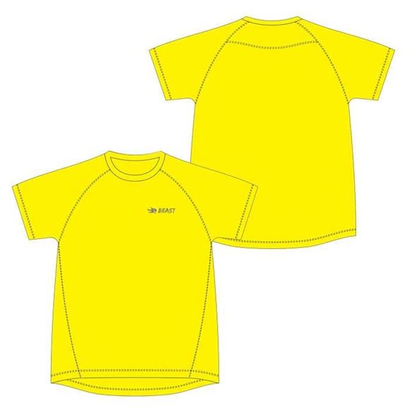 Picture of Sport Tee Shirt Style 624M Custom