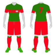 Picture of Soccer Kit Style WB109 Custom