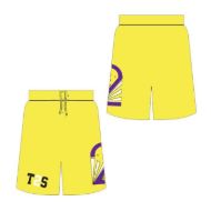 Picture of Training Shorts T2S 538S Custom