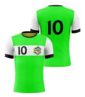 Picture of Custom Made Soccer Game Uniform Jersey with Team Logo and Player Numbers. Style N109J.