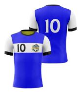 Picture of Custom Made Soccer Game Uniform Jersey with Team Logo and Player Numbers. Style N109J.