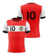 Picture of Custom Made Soccer Game Uniform Jersey with Team Logo and Player Numbers. Style N109J.