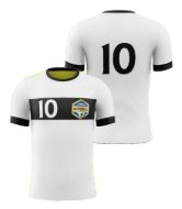 Picture of Custom Made Soccer Game Uniform Jersey with Team Logo and Player Numbers. Style N109J.