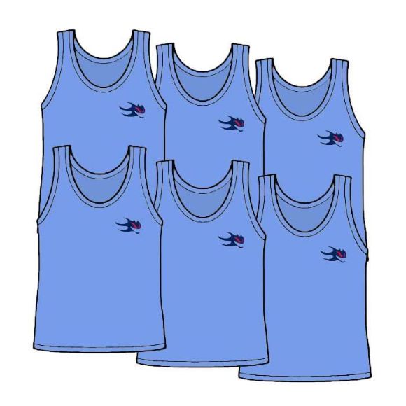 Picture of Package of 6 Youth Size Pinnies Style 905J 