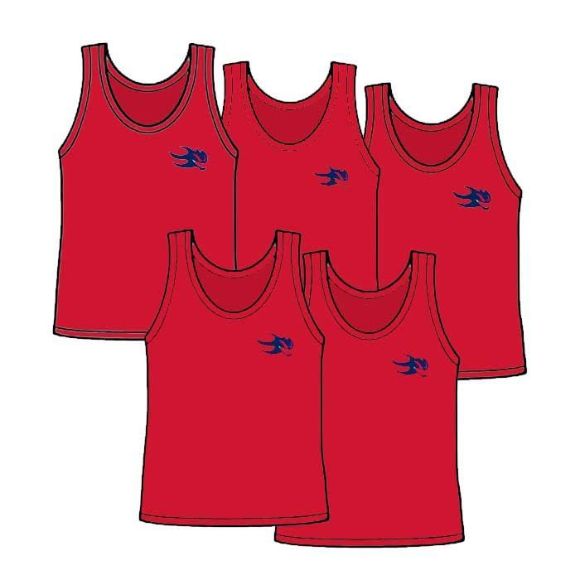 Picture of Package of 5 Adult Size Pinnies Style 905S 