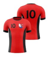 Picture of Custom Made Soccer Game Uniform Jersey with Team Logo and Player Numbers. Style 103J.