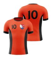 Picture of Custom Made Soccer Game Uniform Jersey with Team Logo and Player Numbers. Style 103J.
