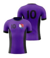 Picture of Custom Made Soccer Game Uniform Jersey with Team Logo and Player Numbers. Style 103J.