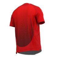 Picture of 2024-25 Manchester Soccer Jersey - Moisture-Wick Polyester, US Standard Sizing with Relaxed Fit, Sublimated Design