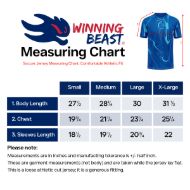 Picture of 2024/25 The Blues Soccer Jersey - Lightweight Fabric for Comfort, Unisex Fit & Smart Details - Home Colors