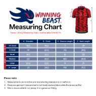 Picture of 2024-25 New York Soccer Jersey - Lightweight Fabric & Standard Size, Moisture-Wicking Fan Shirt, Comfortable Fit