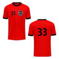 Picture of Custom Made Soccer Game Uniform Jersey with Team Logo and Player Numbers. Style 100J.