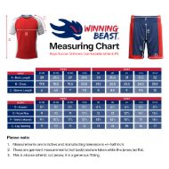 Picture of Lot of 15 Unisex Soccer Apparel (Jersey and Shorts) Custom Made for You in Any Ten Sizes with Numbers and Logo. Style 127.